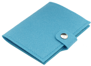 Passport case 841062